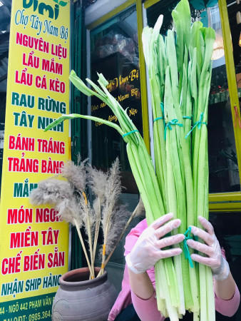 Kèo Nèo 